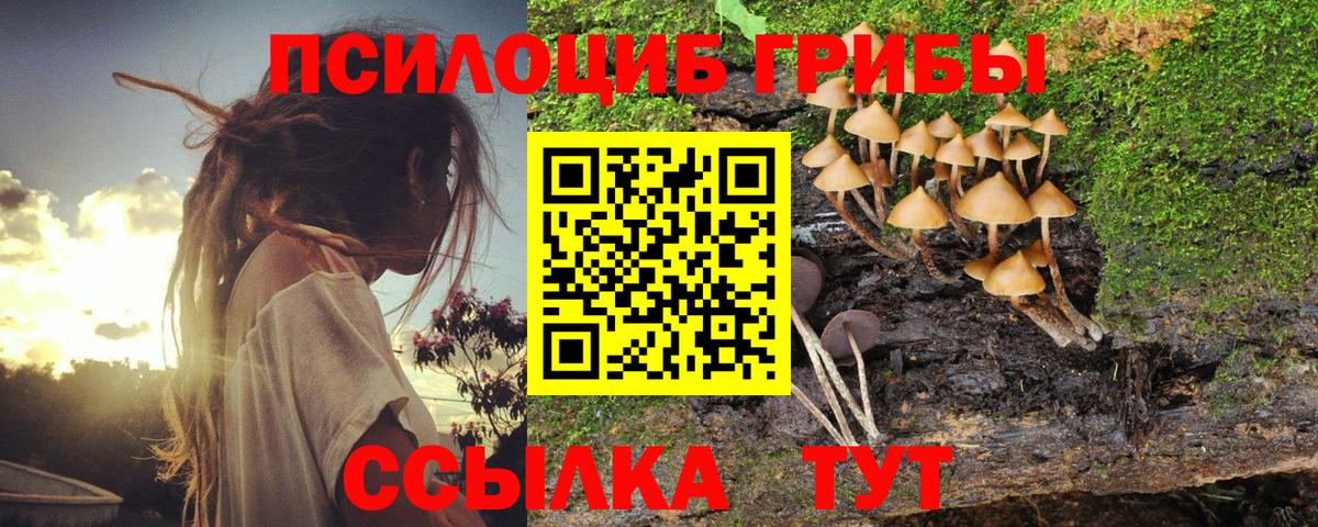 наркошоп  Псилоцибиновые грибы Psilocybine cubensis  Вход с VPN  Вязьма 